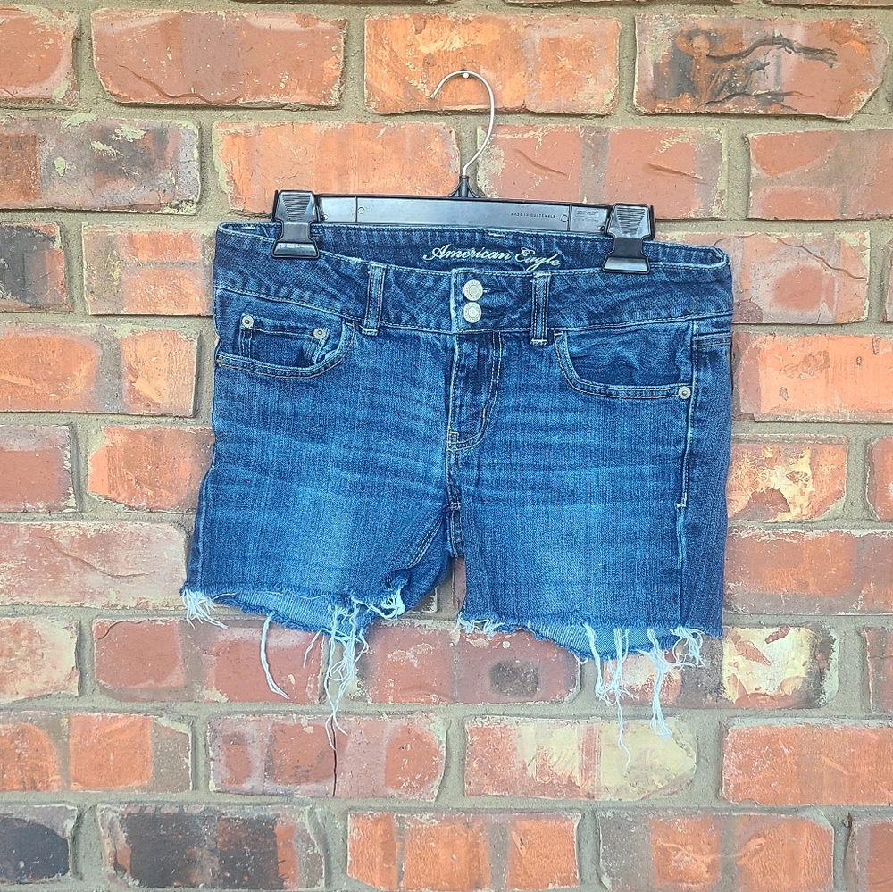 American Eagle Distressed Shorts